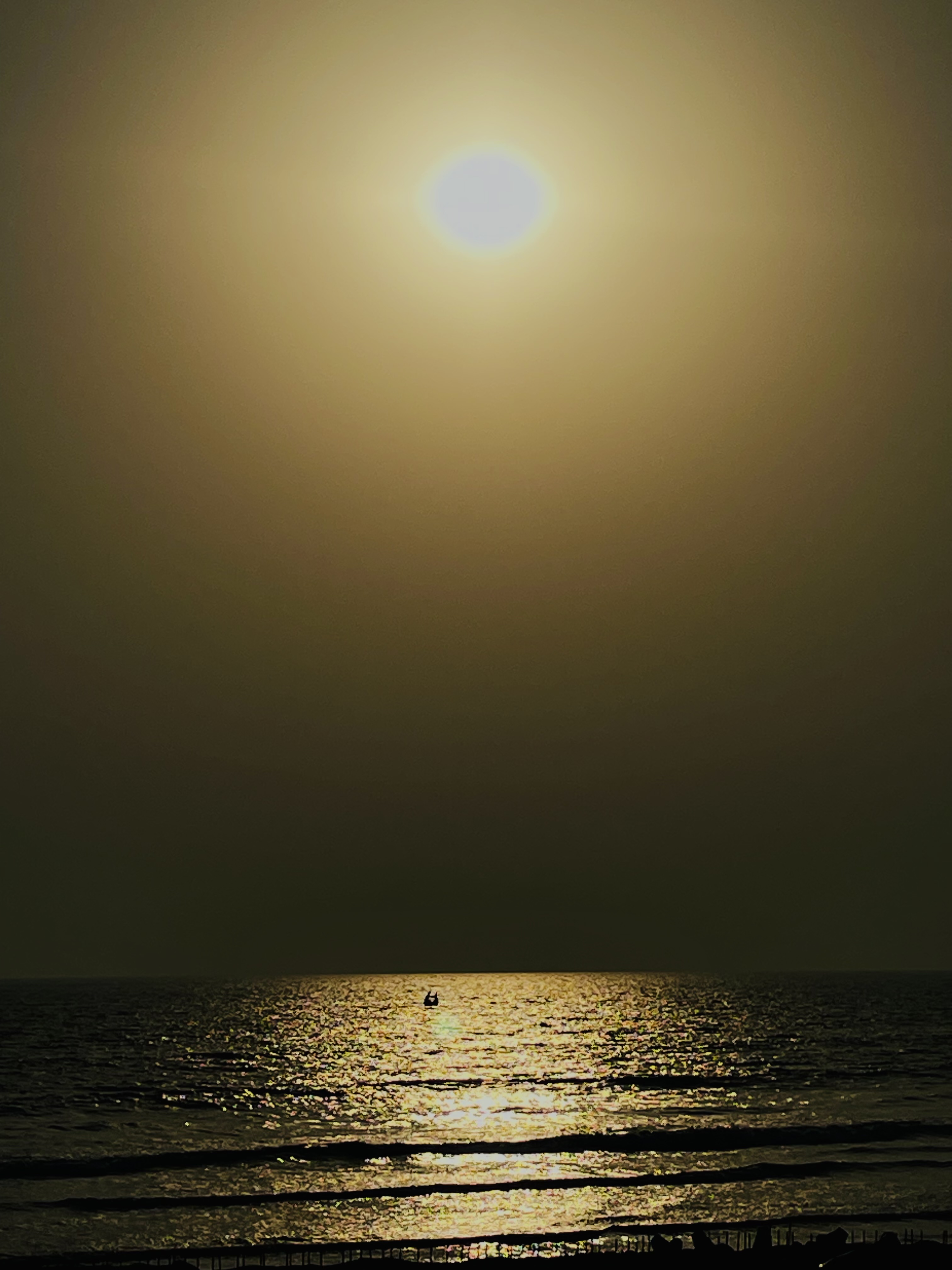 Mirinja Valley & Cox’s Bazar photo 11