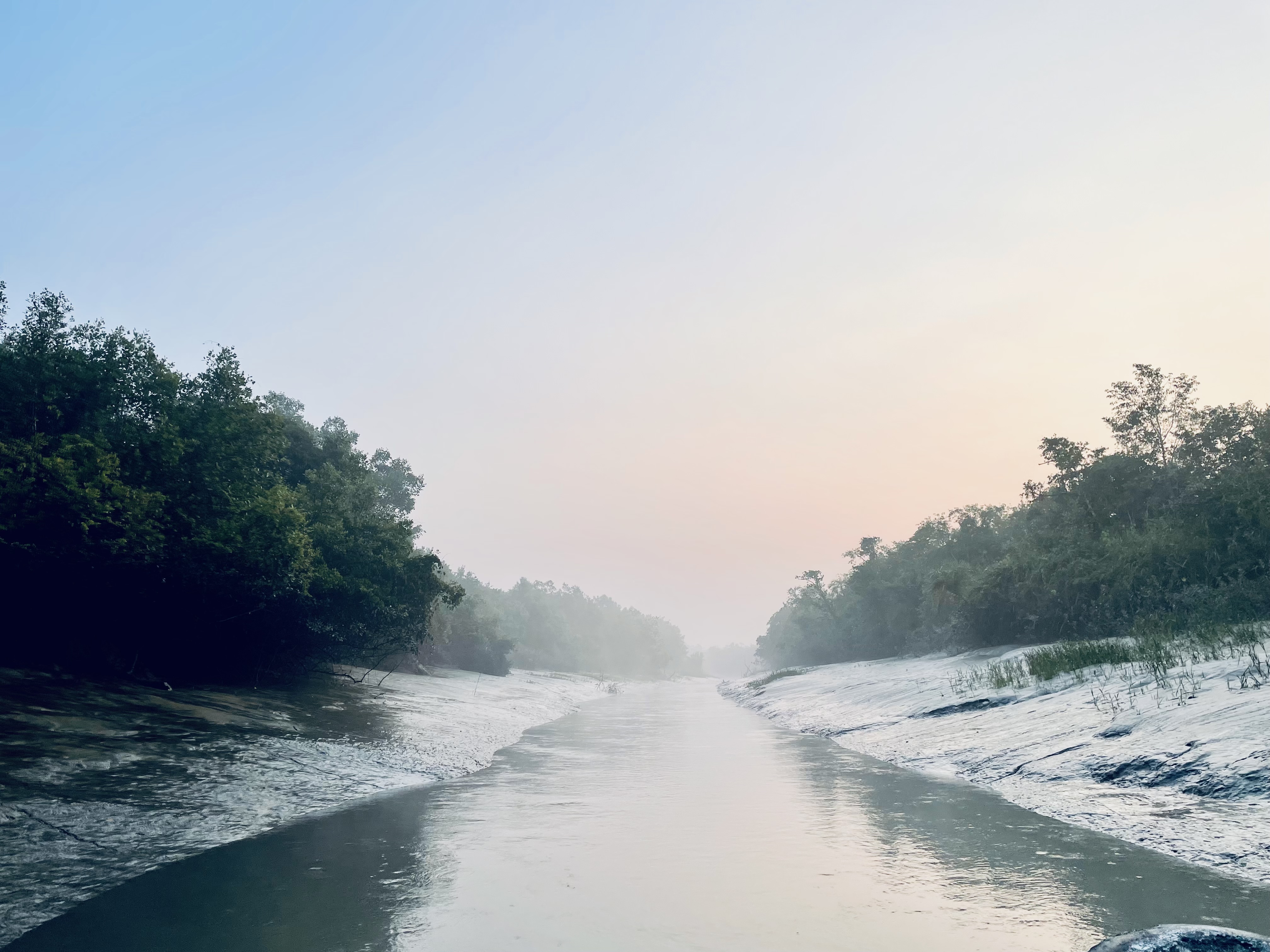 Sundarban 🌿🐅 photo 30